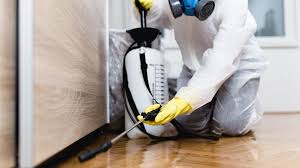 Emergency Pest Control in Hightstown, NJ