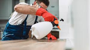 Best Commercial Pest Control  in Hightstown, NJ